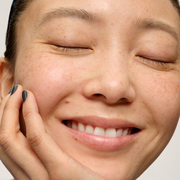 The POREfessional Get Unblocked model